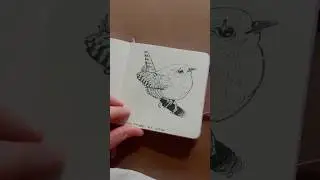 First few prompts of an october drawing challenge