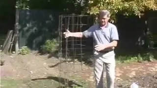 Shepherd Ogden's Early Garden Tips for Tomatoes by Jim Surkamp