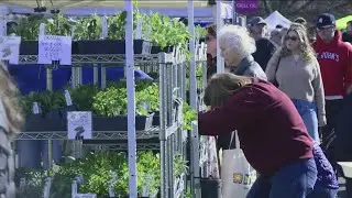 Boise Farmers Market has biggest opening day in 13 years