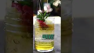 Put A Finger Down Drinks Edition #entertainment #facts #drink #interestingfacts #funny #shorts