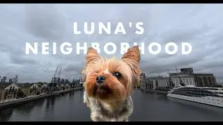 JOIN US! Our Daily Walk Adventure with Luna (You’re Invited!)