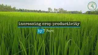 Fairtrade Premium Climate Change Mitigation Project- Land Laser Levelling  by Nature BioFoods Ltd.