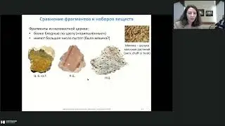 12. Балахнина И.А. 