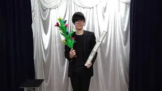 Color changing feather to umbrella Perform