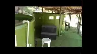 Dalyan Turtle Hospital