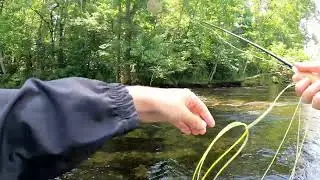 Fly fishing fails and two brown trout
