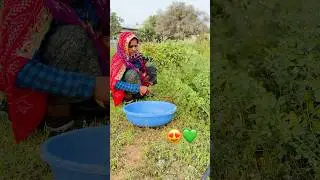 💚🥰#new #rajasthani #viralvideo #love #jatni #desi #news #culture #home #dj #song #cute #cutebaby