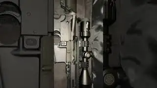 Double trouble #ar15#556#sigsauer#remington#308#bushnell#rifle#longrange#likeandsubscribe#shorts
