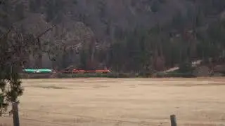 BNSF freight train carrying boeing 777X fuselages and mixed cars passing next to Paradise, MO