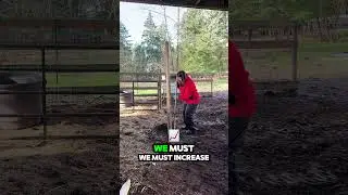 Setting a Fence Post the Traditional Way | The Special Song Revealed