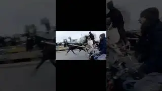 Sherni vs chahat horse race 31/12/2025 Pabbi road 