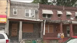 Camden Neighborhood Dealing With Flea Infestation