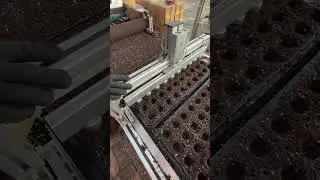 Automatic Seedling Tray Seeding Line &ndash; an Efficient Solution for Seed Sowing