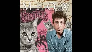 40. A Complete Unknown: Bob Dylan's Forgotten Avant-Garde Novel, Tarantula