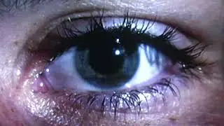 Swedish House Mafia - See The Light (feat. Fridayy) (Official Video)