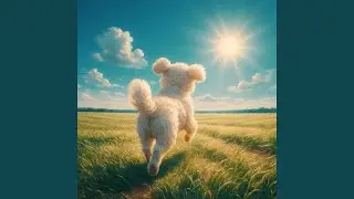 犬がほしい