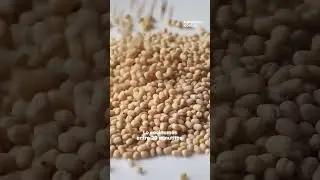 Beneficios del amaranto - En Casa Salud