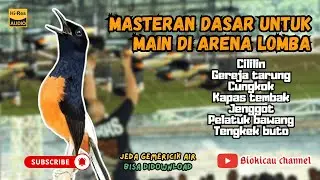 MASTERAN DASAR MURAI BATU