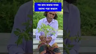 Benefits of chopped Khuira tree roots #medicinal plants #poetry