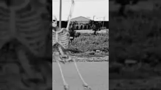 Nan soodana mohini song 🤩🤩 elumbu koodu dance.....😂😂😂😂😂