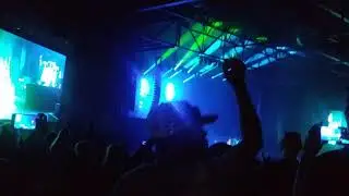 BFD 2019 Shinedown- State of my head
