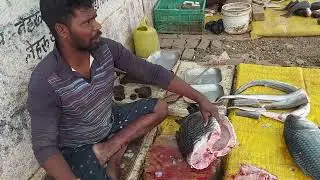 Cutting 12 Kg Katla Fish (कतला) 400rs Per Kilo @MashusRecipe #fishcutting