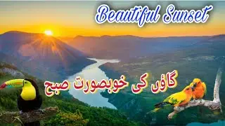 Gaon Kai Khubsorat Suba 🥰|Village life Morning Routine|Pothwari Vlogs