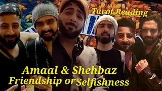 Amaal Shehbaz Tarot Reading 