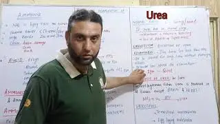 Lecture on Excretion Ammonitic Ueoteilc Uricotelic