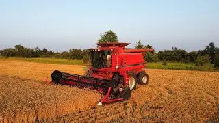 Truckin' Beans and Cutting Wheat