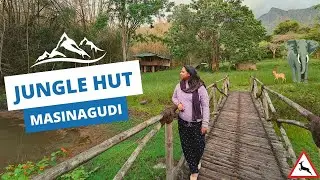 Jungle Hut Resort, Masinagudi : Gateway to Nature's Paradise 🏠🌲🐯