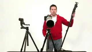 Wildlife Photography Equipment: Tripod Heads