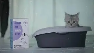COLORLESS DRD3 EARLY DETECTION CAT HEALTH LITTER VIDEO! HOW TO USE