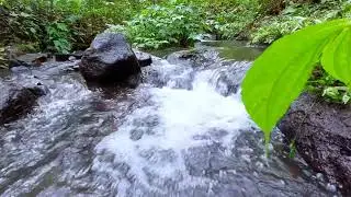 White Noise-The sound of clear water gurgling//Natural sounds that soothe the mind, sleep companion.