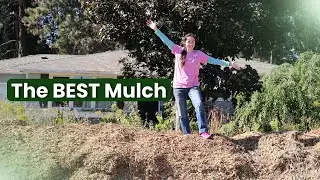 Mulches: WOOD CHIPS and why they are the best!