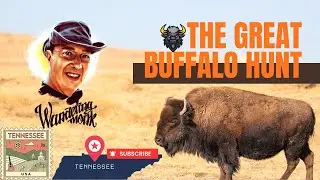 The Great Buffalo Hunt in Tennessee