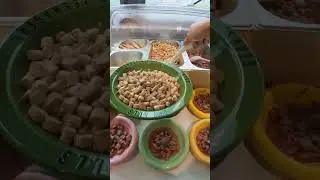 第一视角食堂配餐 | 打饭阿姨体验卡×365 #第一视角宠物配餐 #第一视角猫咪配餐 #第一视角宠物食堂 #宠物食堂配餐 #沉浸式猫咪配餐