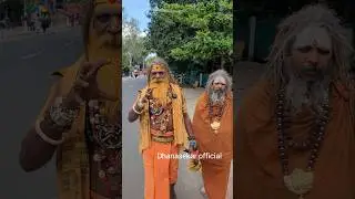 😱சித்தர்கள் வலம் வரும் வழி திருவண்ணாமலை🙏🕉 #shortsfeed #shorts #tiruvannamalai #siddhar #sithar