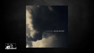 Liquid Newt Feat. Frank M. Spinath - Walk with Scars (Early Version)