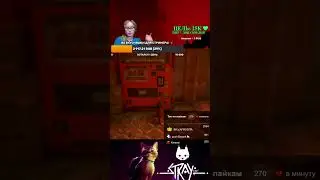 Stray: Кот-бунтарь на свободе &mdash; что может пойти не так?😹🔥#shorts #девушкастример #straygame #catgame
