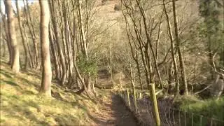 The First Visit To The Quantock Hills in March 2022, PART VII