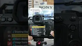 How to put grid Z6II