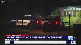 MultCo DA prosecuting 36 gun-related  crimes