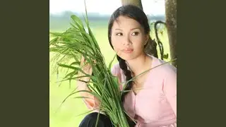 Trich nhac phung nghi dinh