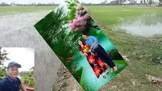Sáng tác thanh sơn # hương tóc mạ non 