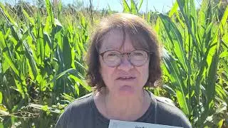 Corn Maze Oct 2022