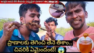అడవిలో తేనె పట్టు ఎలా తీయాలో చూడండి.. చివరికి ఏమైందంటే! 🐝