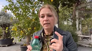 Телефонна среща с хакер на работното място 😳