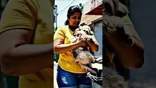 Big Heart, Big Rescue The Plus Size Woman Saved The Puppy Discarded In The Trash #rescue #kindness