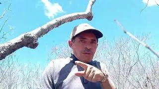 Poetry in the bush!